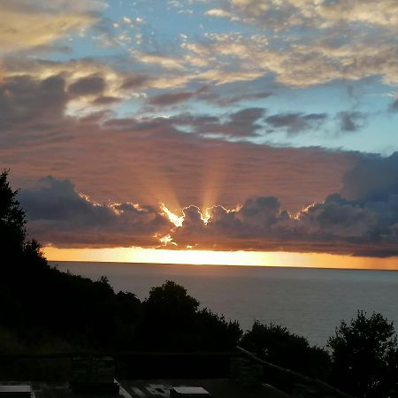 Coin De Paradis Vue Dominante Sur Mer, Montagne Et Tour Genoise Avec Jacuzzi Pino Exteriör bild