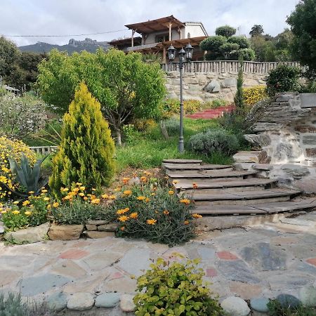 Coin De Paradis Vue Dominante Sur Mer, Montagne Et Tour Genoise Avec Jacuzzi Pino Exteriör bild