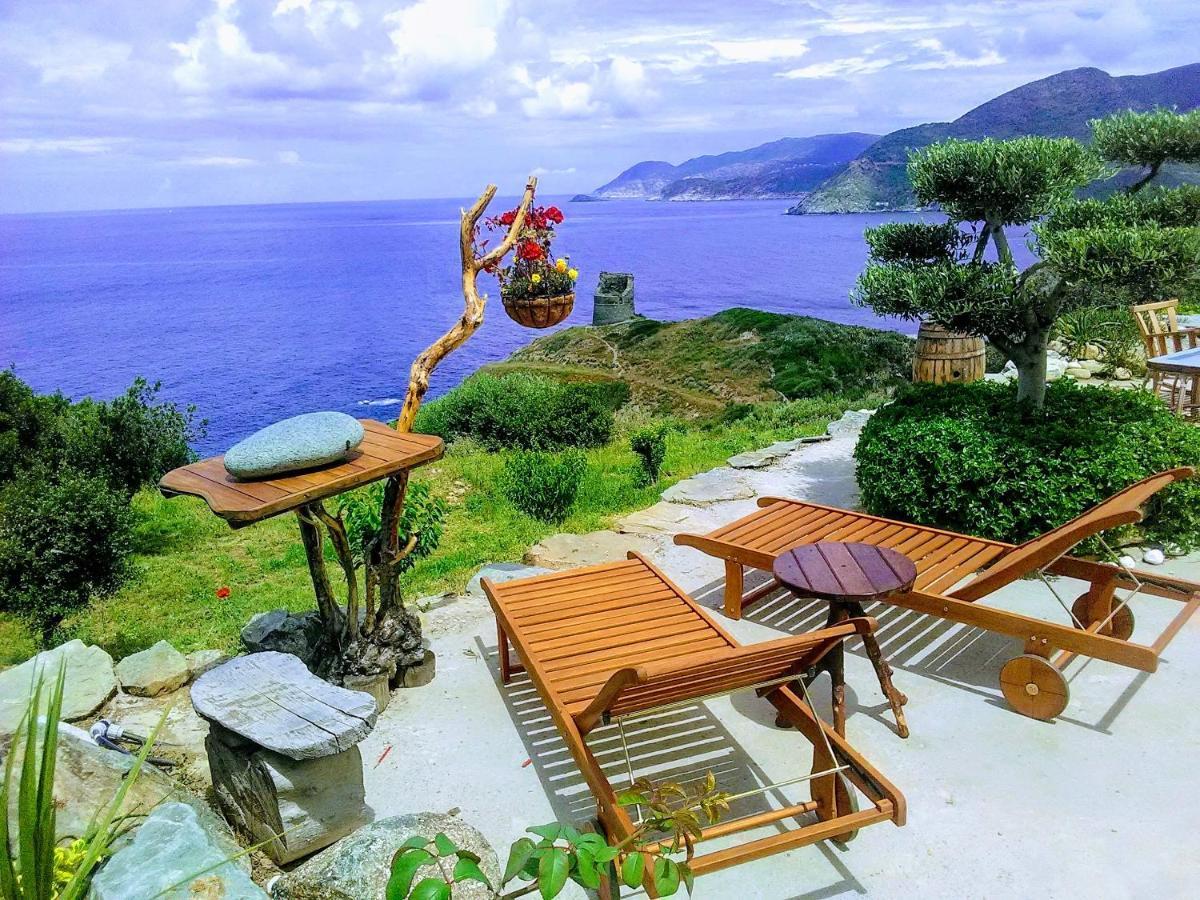 Coin De Paradis Vue Dominante Sur Mer, Montagne Et Tour Genoise Avec Jacuzzi Pino Exteriör bild