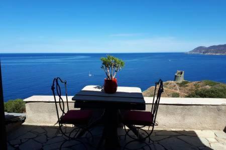 Coin De Paradis Vue Dominante Sur Mer, Montagne Et Tour Genoise Avec Jacuzzi Pino Exteriör bild