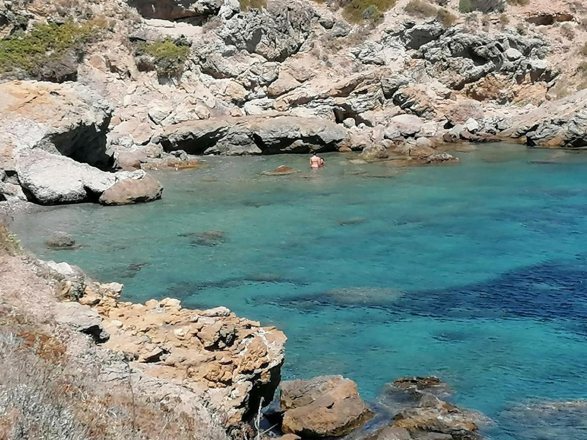 Coin De Paradis Vue Dominante Sur Mer, Montagne Et Tour Genoise Avec Jacuzzi Pino Exteriör bild