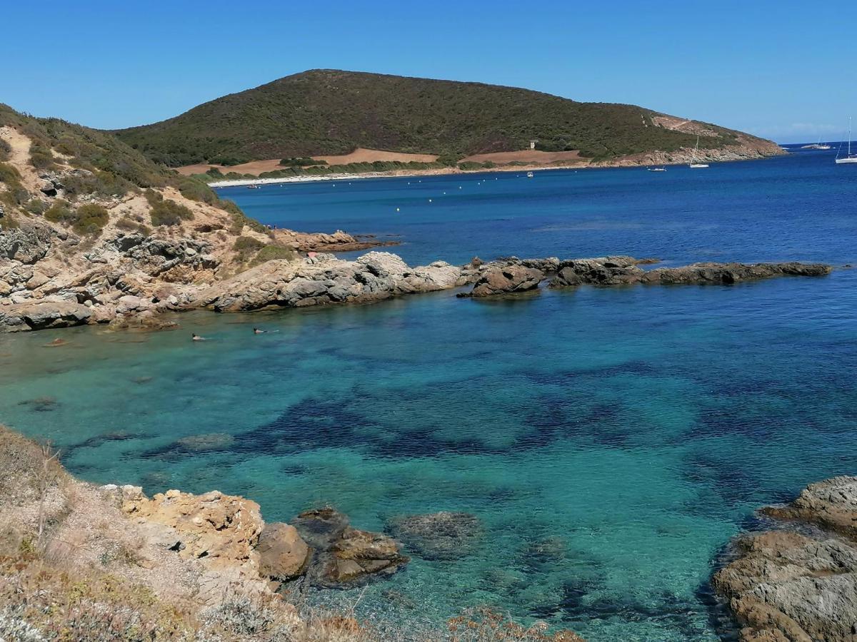 Coin De Paradis Vue Dominante Sur Mer, Montagne Et Tour Genoise Avec Jacuzzi Pino Exteriör bild