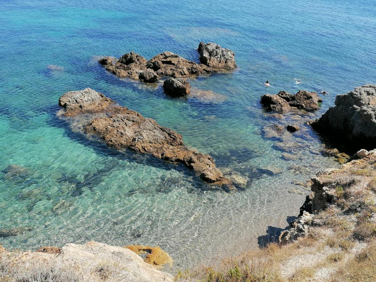 Coin De Paradis Vue Dominante Sur Mer, Montagne Et Tour Genoise Avec Jacuzzi Pino Exteriör bild