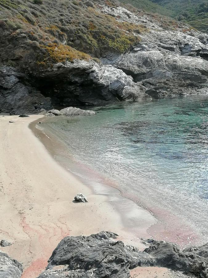 Coin De Paradis Vue Dominante Sur Mer, Montagne Et Tour Genoise Avec Jacuzzi Pino Exteriör bild