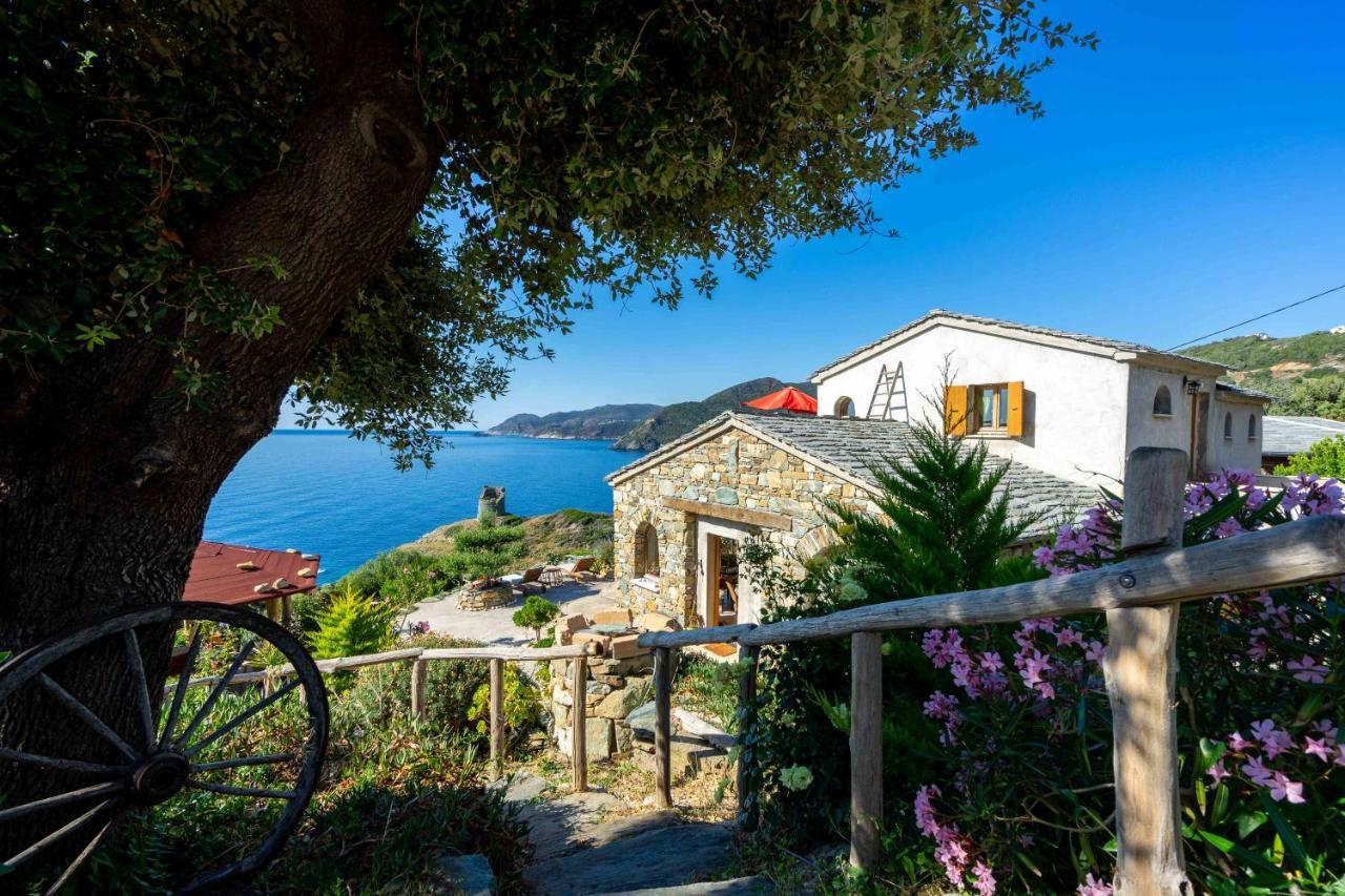 Coin De Paradis Vue Dominante Sur Mer, Montagne Et Tour Genoise Avec Jacuzzi Pino Exteriör bild