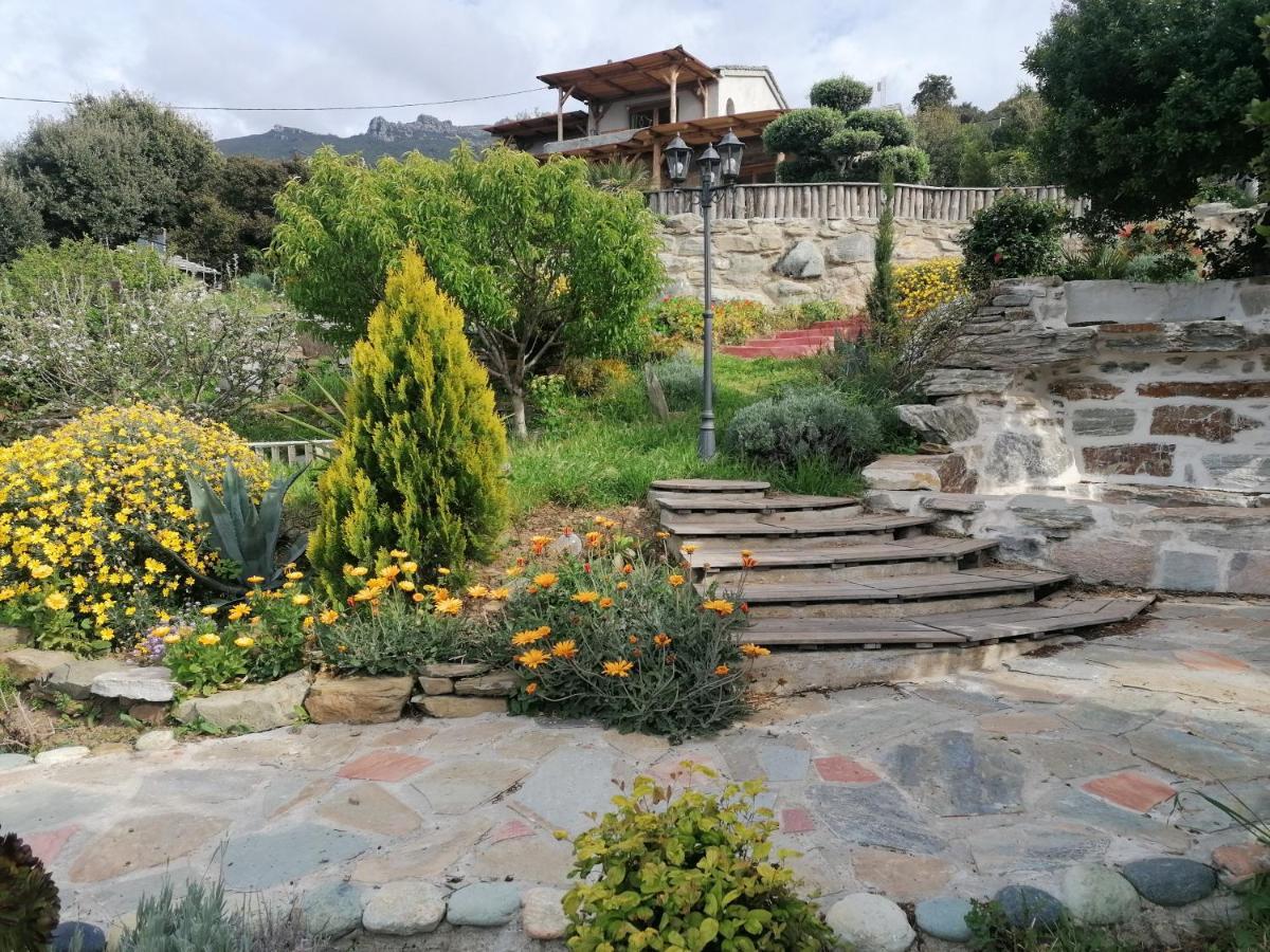 Coin De Paradis Vue Dominante Sur Mer, Montagne Et Tour Genoise Avec Jacuzzi Pino Exteriör bild